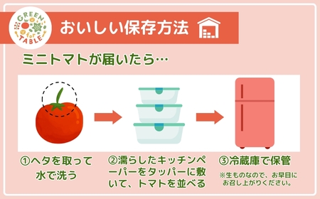 【先行予約】 ミニトマト サンチェリー 1kg 農家直送 福島県 田村市
