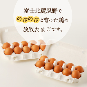 忍野の平飼い卵30個 ※割れ保証含む 卵