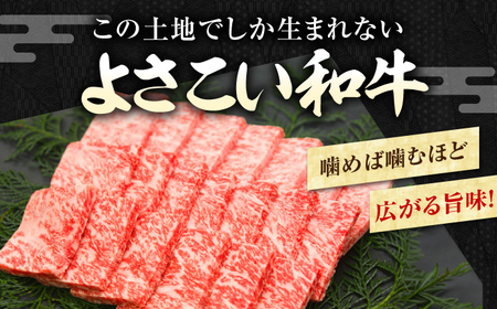 簡単調理! お肉の詰め合わせ 総計約4.7kg 牛肉 鶏肉 豚肉 国産 小分け 食べ比べ 【(有)山重食肉】 [ATAP009]