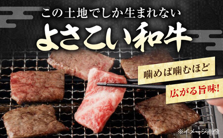 お肉の玉手箱!  総計約840g / 牛肉 ステーキ 牛肉 焼肉 牛肉 切り落とし 牛肉ステーキ 牛肉焼肉 牛肉切り落とし  [ATAP020]