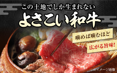 高知県産 よさこい和牛 上ロース すき焼き 焼肉セット 各種約750g 総計約1.5kg / 牛肉 焼き肉 国産 【(有)山重食肉】 [ATAP040]