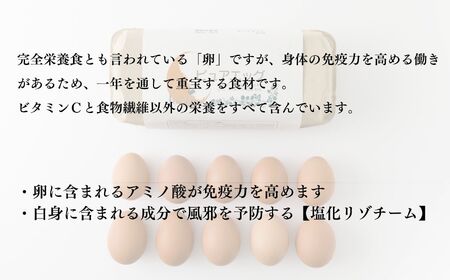 【定期便】やさしい甘みあふれる卵『ピュア・エッグ』30個×６か月お届け 合計180個 コクがあるのにフルーティーな甘さ 糸魚川 新潟 卵 たまご お菓子作り フェルエッグ