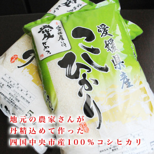 愛媛県産コシヒカリ10kg