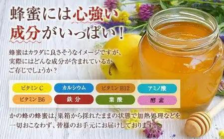 【全3回】 定期便 かの蜂 国産 百花蜂蜜 合計3kg（とんがり容器1kgを毎月1本お届け） 純粋はちみつ 024-T002