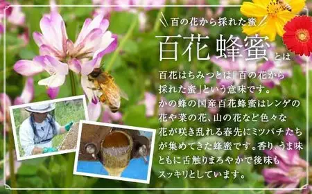 【全6回】 定期便 かの蜂 国産 百花蜂蜜 合計6kg（とんがり容器500gを毎月2本お届け） 純粋はちみつ ハチミツ 非加熱 ハニー 大容量 長期保存 美容 健康 健康食品 定期便 024-T005