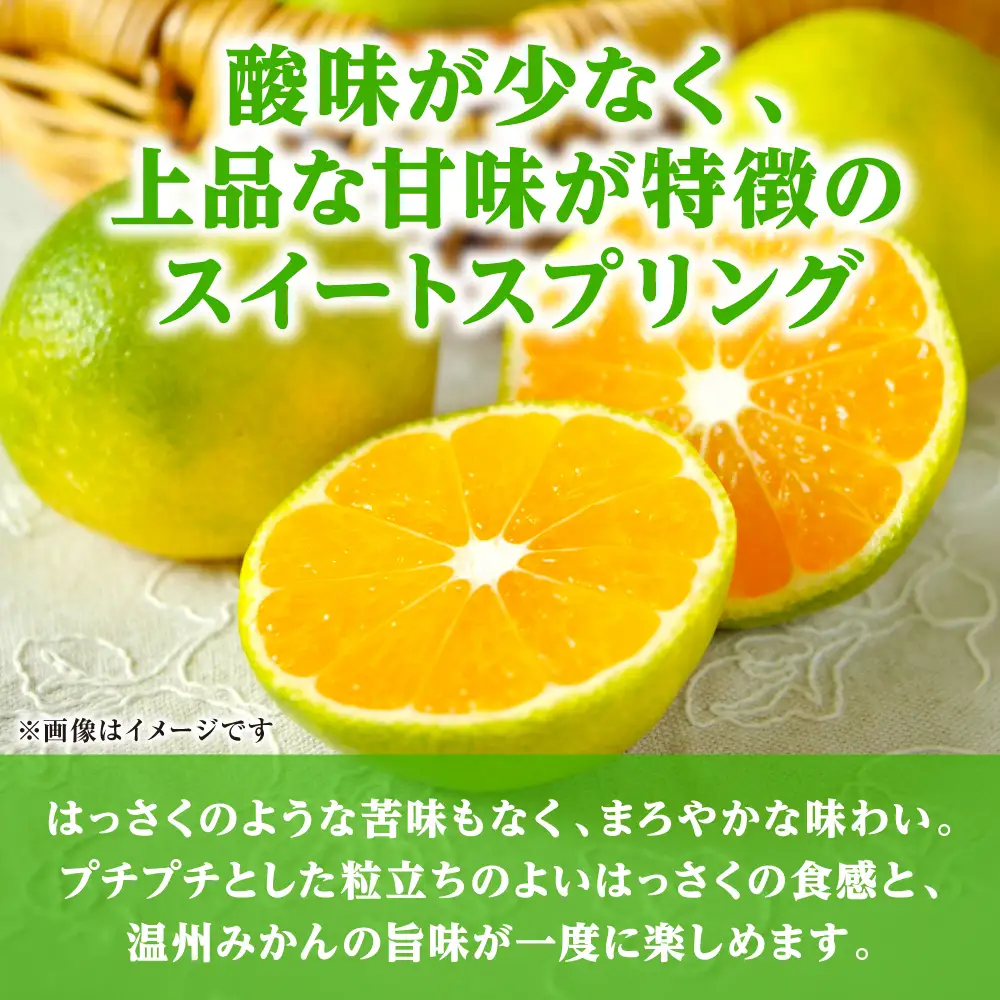 【先行予約】スイートスプリング 約5kg 柑橘 【2026年12月上旬より順次発送】