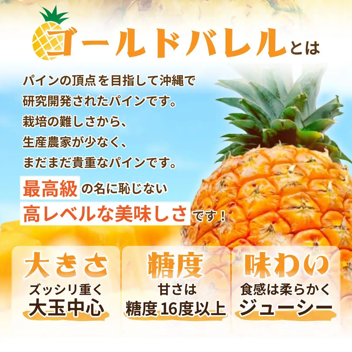 ＜先行予約＞【訳あり】石垣島産 ゴールドバレルパイン 大小混合セット 約4.5kg 　SI-7-1
