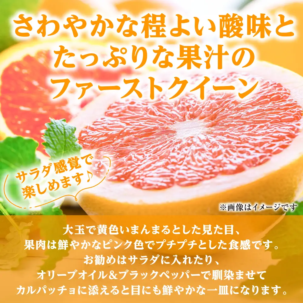 【先行予約】ファーストクイーン 2玉 サラダ感覚 熊本県 八代市産 みかん ザボン 文旦 【2026年10月下旬より順次発送】