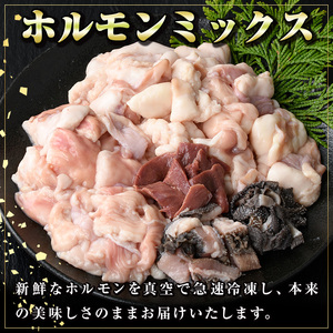 【A91031】黒毛和牛ホルモンミックス(計800g)＋黒毛和牛牛すじだらけのカレー(1袋)セット！ 鹿児島 国産 牛肉 黒毛和牛 牛肉専門店 和牛日本一 惣菜 おかず 牛すじ ホルモン ミックス レトルトカレー ご当地カレー【新村畜産】