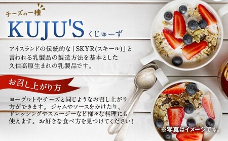 【定期便3回】毎月届く 『 KUJU'S くじゅーず』 500g×3パック×3ヶ月 合計4.5kg  家庭用パックタイプ チーズ プレーン 無糖 乳製品 低脂肪 高カルシウム スキール
