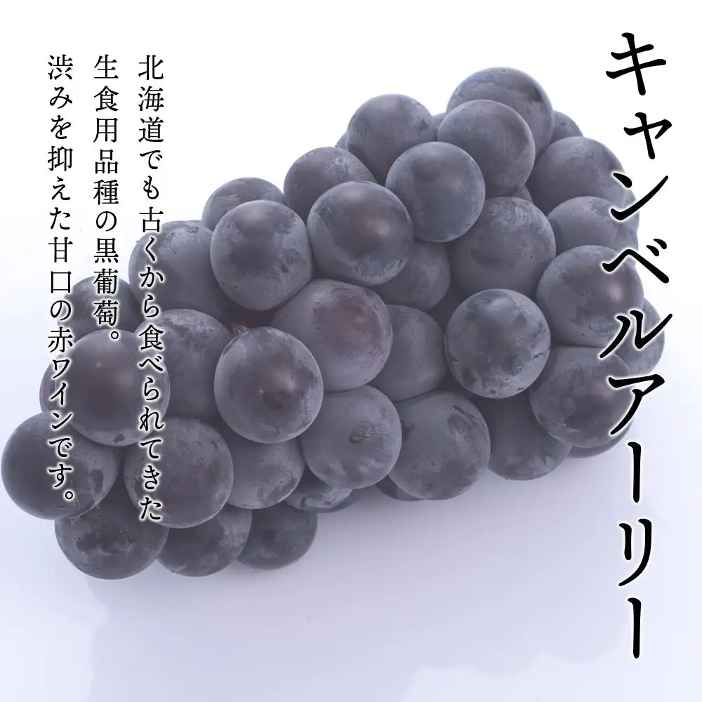 	キャンベルアーリースパークリング720ml＜余市ワイン＞_Y020-0401
