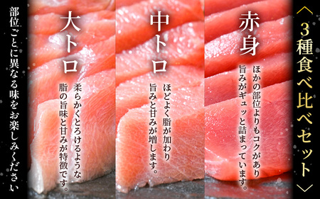 定期便≪3ヶ月連続お届け≫おすすめ！まぐろの王様！生本まぐろ 食べ比べ 定期便 計3回 【 大とろ 中トロ 赤身 刺身 冷蔵 お取り寄せ グルメ】[e04-b028]