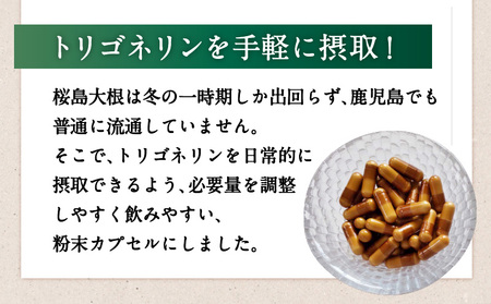 健康食品：桜島大根カプセル「Trigoのトリゴネリン」 K196-001