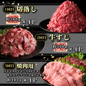 【E01009】＜定期便・全6回＞鹿児島黒牛 満足定期便・満腹セット(全5種・合計10kg) 鹿児島黒牛 モモ 赤身 ホルモン 霜ぶり 霜降り ステーキ 牛すじ 切り落とし 切落し 焼肉 食べ比べ 日本一 鹿児島 国産 九州産 牛肉 ビーフ 定期便【新村畜産】