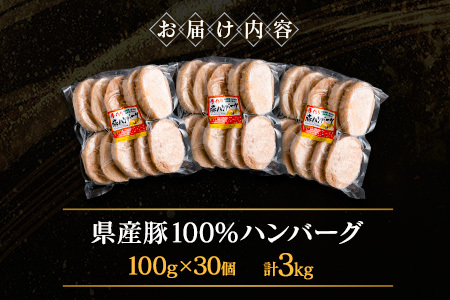 宮崎県産豚ハンバーグ 計3kg【B612】