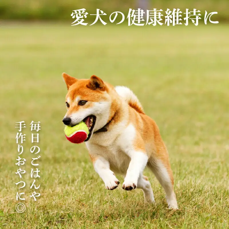 ペット用 エゾ鹿挽き肉 200ｇ×52袋≪REAL DOG FOOD≫_Y020-0634