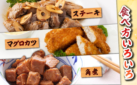 目鉢鮪 「 尾の身 」（  皮 ・ 骨なし  ） M081-003 冷凍 マグロ