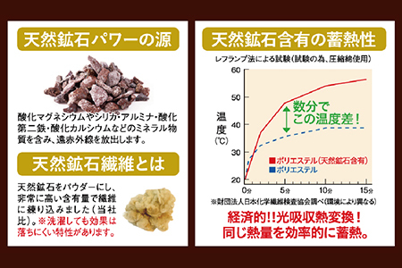 HEATRAYプレミアム敷き毛布 