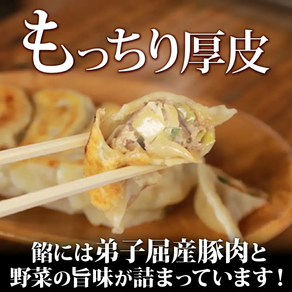 1815. 無地熨斗 よだれ餃子 10個入 3パック 計30個 餃子 ぎょうざ ギョウザ ギョーザ 生餃子 冷凍 中華 豚 昇龍軒 熨斗 のし 名入れ不可 送料無料 北海道 弟子屈町 12000円