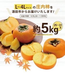 SA2936　庄内柿　約5kg(25～31玉入) L～4Lサイズ