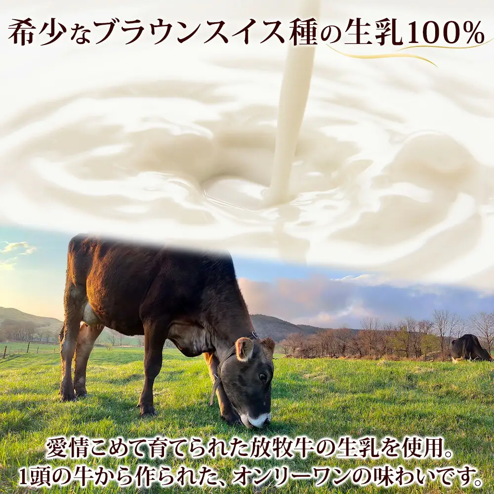 1807. 牧之瀬牧場 アイスクリーム ミルク 2L 業務用 ブラウンスイス 2リットル アイス ジェラート 牧場 生乳 牛乳 スイーツ デザート おやつ 送料無料 北海道 弟子屈町 16000円