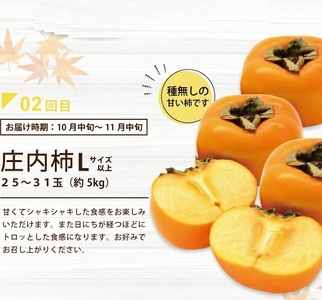 SE0478　【3回定期便】酒田から秋のフルーツ定期便2026 (刈屋梨、庄内柿、ラ・フランス) 