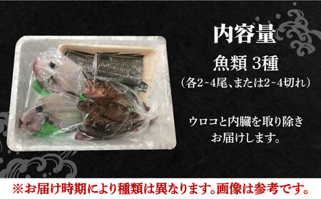 朝どれ 鮮魚 詰め合わせ 3種（2-3人前） 下処理 あり / アジ アラカブ タイ カワハギ など  魚 新鮮 セット 冷蔵 産地直送 下処理済み / 南島原市 / 美吉屋 [SDW003]