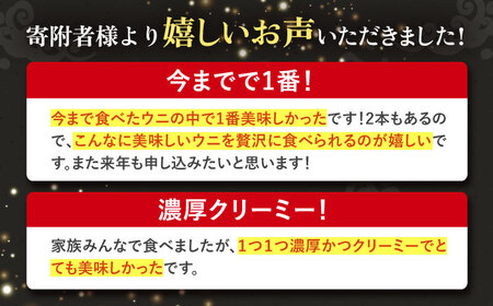 【お中元】壱岐産 濃厚 ウニ 60g ×2本《壱岐市》【合同会社塚元】ムラサキウニ [JDR022]