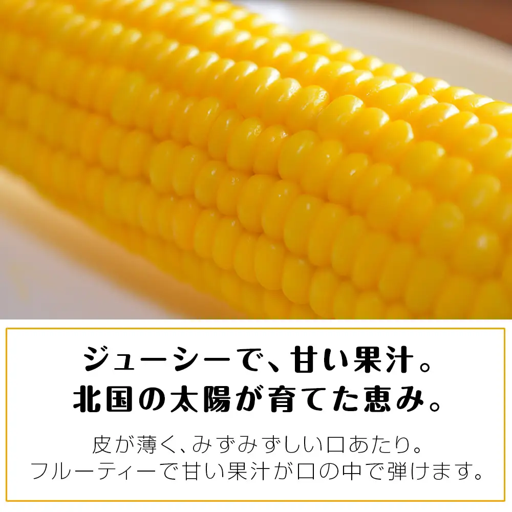 【先行予約】北海道 千歳産 とうもろこし 1本430ｇ以上 25本 恵味シリーズの中からおまかせで1種類  ＜ふぁーむあんざわ＞