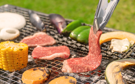 尾花沢牛 詰め合わせ 厳選3品セット 焼肉用カタ・バラ400g モモブロック400g すき焼き用ロース400g 計1.2kg ja-oggss1200