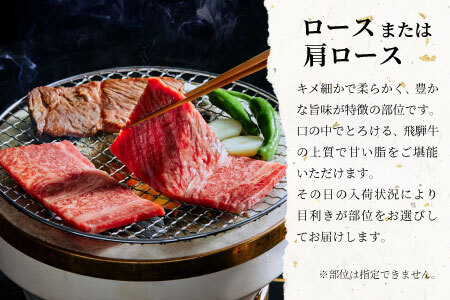 【最短発送】 飛騨牛 ロースまたは肩ロース 焼肉用 600g 牛肉 和牛 肉 焼肉 BBQ ロース カタロース 肩ロース 東白川村 岐阜 贅沢 霜降り 養老ミート 20000円
