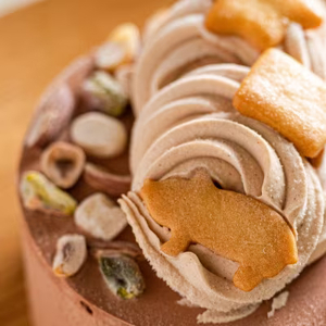 ＜栃木県/Vivo＞ヘーゼルチョコのジェラートケーキ(アイスケーキ)※北海道・沖縄・離島・九州・山口県への配送不可