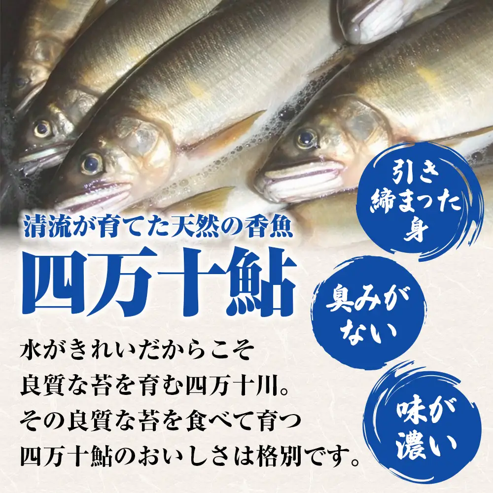 【四万十川の天然鮎】特大サイズ一夜干し5枚セット ／Esg-A27 あゆ アユ 鮎 川魚 あゆの塩焼き