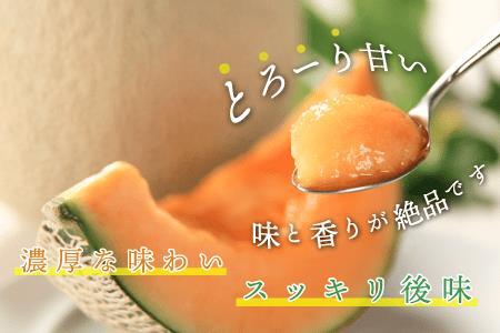★先行予約★3073.摩周メロン秀品２玉入り（1.1kg以上）8月上旬より順次発送予定