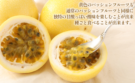 【2026年発送】先行受付 徳之島 天城町産 【家庭用】 イエローパッションフルーツ 約2kg（サイズ混合） 吉川果樹園  パッションフルーツ 混合サイズ イエロー フルーツ 果物 AB-37-N
