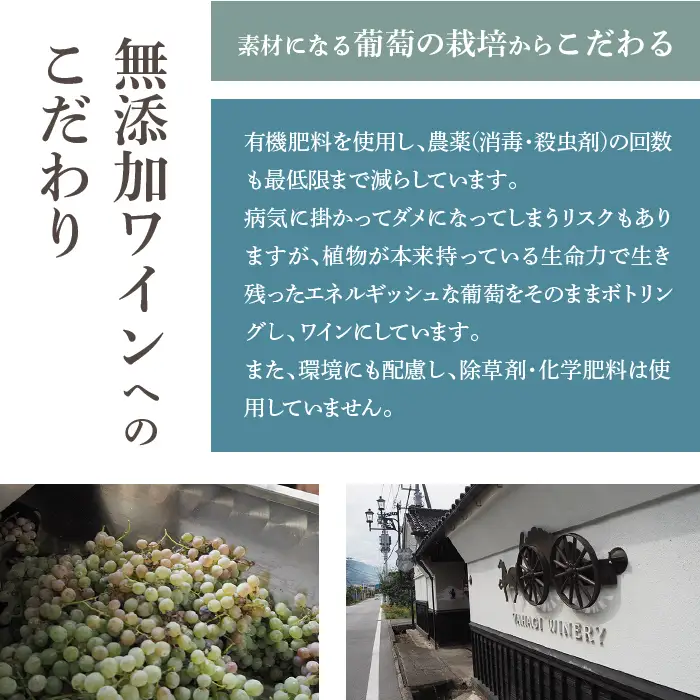 無添加ワイン6本セット 甲斐國一宮と紅一点 014-008