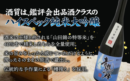 創業125周年記念 純米大吟醸「青龍の輝」　720ml 1本 日本酒 ｜ 日本酒　B-008008
