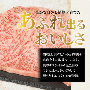 S074-013_天草黒牛 サーロイン ステーキ 2枚入 約500g 黒毛和牛 A4～5等級