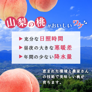 【2026年発送★先行予約】日本一の生産量 山梨県産 桃 2kg以上 5~8玉 | 山梨 桃 本場 秀品 もも 高評価 人気 ランキング おすすめ コスパ 甘い 高糖度 美味しい デザート 数量限定 送料無料　産地直送 山梨県産 「販売」KEIPE株式会社 154-030-26y