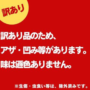 梨 訳あり ご家庭用 二十世紀 5kg 鳥取県産 湯梨浜 東郷名産 | 9M