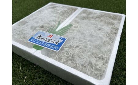“超絶うまい”漁師が選ぶ釜揚げしらす！！ 海鮮 釜上げしらす シラス丼 
