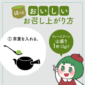 【 5営業日以内に発送 】 日本茶専門店 【 貴茶 － TAKACHA 】 煎茶 ［禅］ リーフ 100g K068-018 スピード配送 最短 すぐ届く お急ぎ