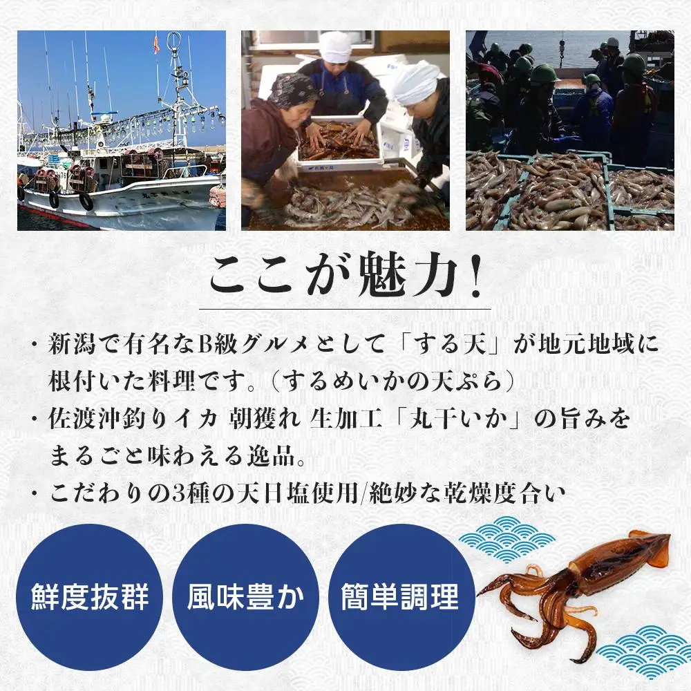干物 イカ 佐渡沖産 3種 イカづくしセット1