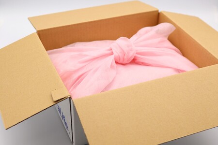 島根県産剣先イカ一夜干し 計600g（4～6枚）個包装・真空袋・ギフト 真空 個包装  干物 白イカ 保存料不使用 大容量 剣先イカ 一夜干し 【005_0119】