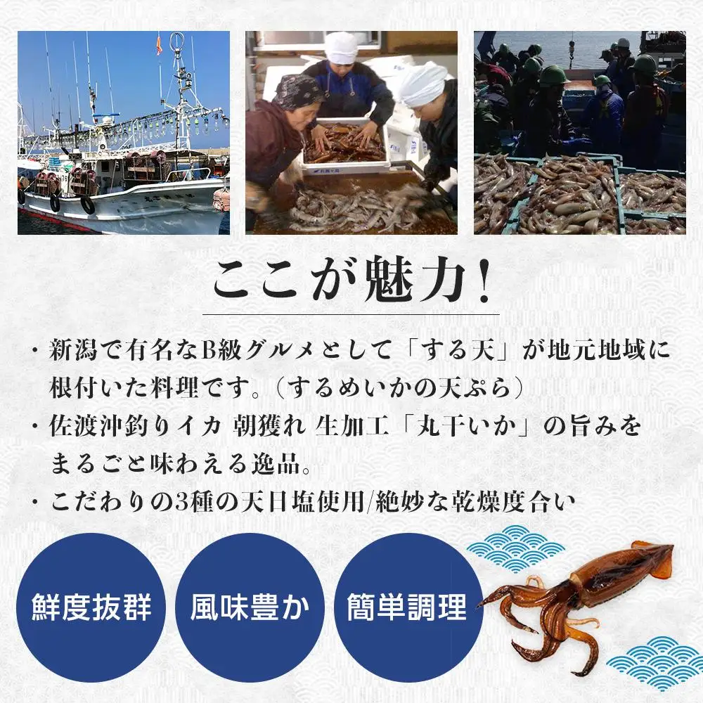 佐渡島いか専門店　いかづくしセット2
