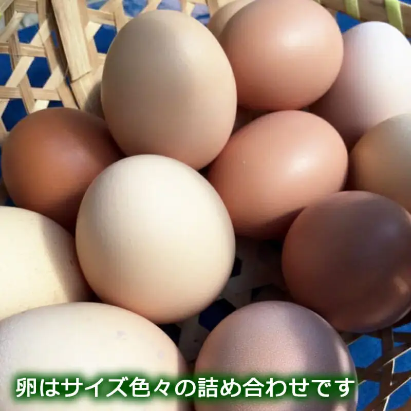 ふぁーむbuffoの平飼いたまご 30個_FA090_001