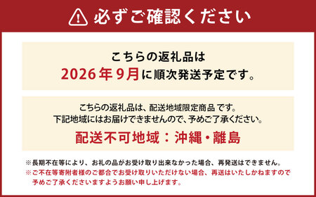 山形おきたま産 アールスメロン （優品） 2玉（約3kg～4kg） 山形県産 【2026年9月順次発送予定】