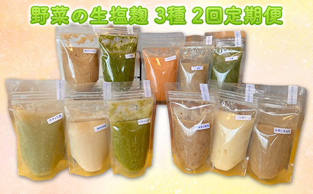 【塩麹3種×1ヶ月おき計2回お届け 定期便】サニーサイドアップカフェ 野菜の生塩麹 3種（ソフリット＋ヤヤン昆布と鰹節＋季節セレクト） 調味料 発酵食品 万能調味料 抗酸化作用 整腸作用 