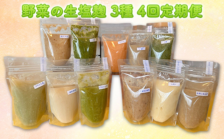 【ふるなび限定】【塩麹3種×1ヶ月おき計4回お届け 定期便】サニーサイドアップカフェ 野菜の生塩麹 3種（ソフリット＋ヤヤン昆布と鰹節＋季節セレクト） FN-Limited-SP 調味料 発酵食品 万能調味料 抗酸化作用 整腸作用 