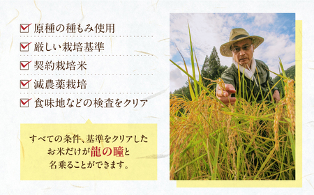 【2025年産米】2kg×1 飛騨産・龍の瞳（いのちの壱）【14-11】